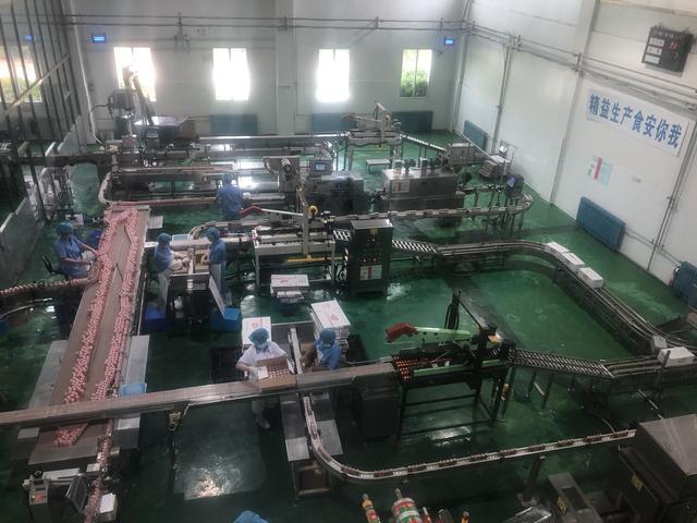 21年始終如一 飲樂多打造消費(fèi)者放心活性乳酸菌品牌