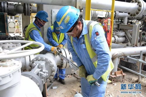 攜手共進，開創未來 科威特王子與中國伙伴的戰略合作探索